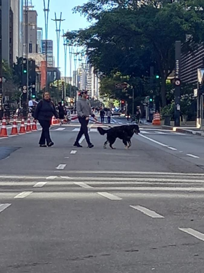 Hostel Trilhas E Rotas - A 150M Da Avenida Paulista São Paulo Luaran gambar